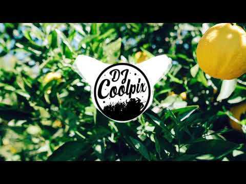 Sergio Santos ft. Virág - Citromfák (Dj Coolpix & Mia Remix) [Radio Edit]