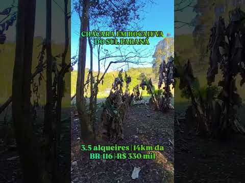 Chácara em Bocaiúva do Sul Paraná 41997779319