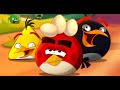 Angry Birds Toons Series Season 1 3 All 104 Episodes