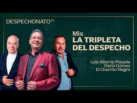 MIX TRIPLETA DEL DESPECHO | DARIO GOMEZ, LUIS ALBERTO POSADA, CHARRITO NEGRO | MUSICA POPULAR