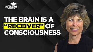 Neuroscience Synchronicities  the Evidence for a Playful Universe  Dr Marjorie Woollacott