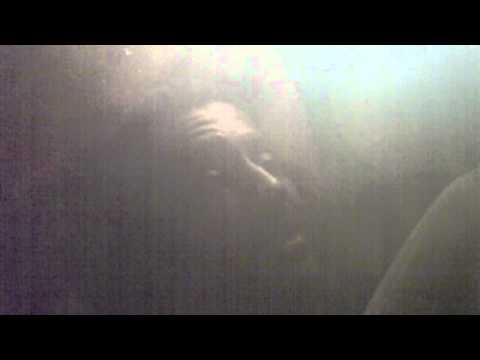 The Deep Dark Dirty South