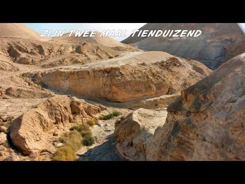 Opwekking 193 Toon ons Uw Macht, O God + tekst