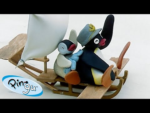 The Flying Pingu! π§ | Pingu β Official Channel | Cartoons For Kids - Kids (0-4), Kingdom Kids Zone - Pingu - Official Channel