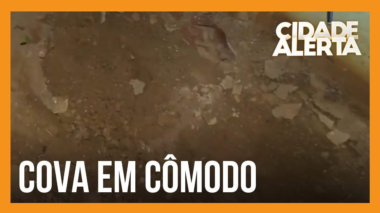 Caso Sophia: repórter do Cidade Alerta mostra casa abandonada onde cova foi encontrada