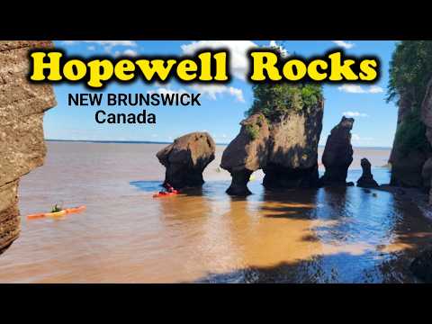 6 Tips To Walking The Ocean Floors of  Hopewell Rock - Magnetic Hill
