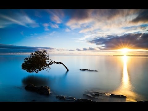 Dmitri Bortniansky, Let my prayer arise, Estonian Philharmonic Chamber Choir, Paul Hillier