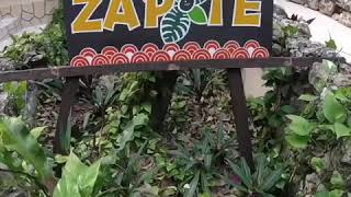 preview picture of video 'Cenotes Zapote'