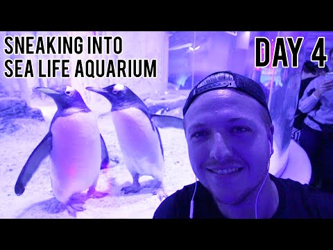 LONDON WITH NO MONEY - DAY 4