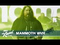 Mammoth WVH – I’m Alright