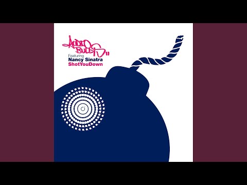 Shot You Down (Radio Edit)