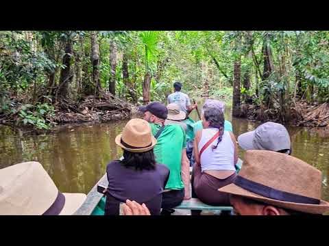 Reserva Nacional Tambopata - Lago Sandoval