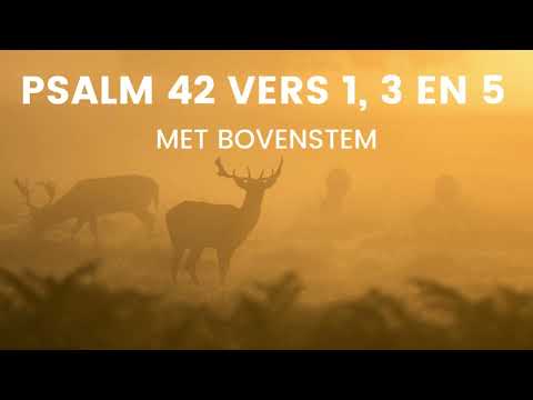 Psalm 42 vers 1, 3 en 5 met bovenstem - Maar de Heer' zal uitkomst geven