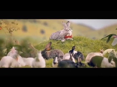 Fight for fertility in Europe