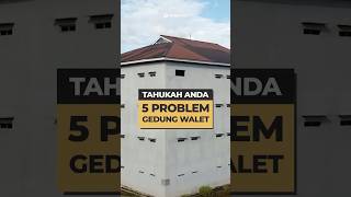 Download lagu 5 Masalah Gedung Walet, Tahukah Anda? #duniawalet #gedungwalet #walet #burungwalet mp3 Download lagu 5 Masalah Gedung Walet, Tahukah Anda? #duniawalet #gedungwalet #walet #burungwalet mp3