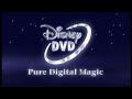 Opening To A Bug S Life Collector S Edition UK DVD 2003