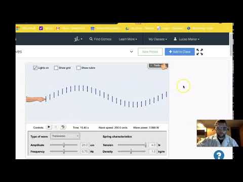 Waves Gizmo Activity B P 1