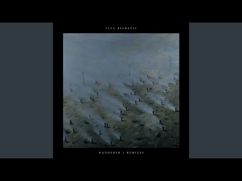 Wanderer (Palmbomen Remix)