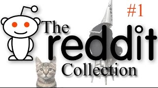 The Reddit Collection #1 - Kevin &amp; Wednesday The Cat