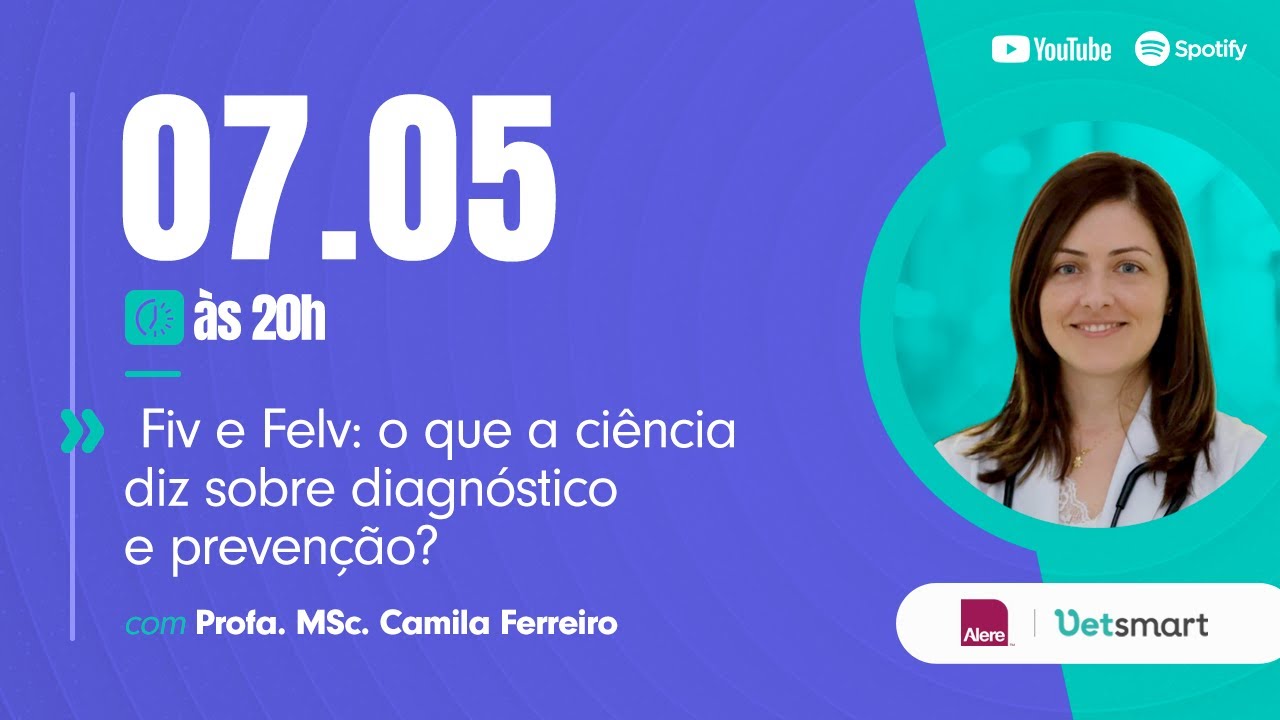 Fiv e Felv: o que a ciência diz sobre diagnóstico e prevenção?