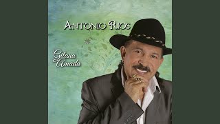 Amor Perdoname Lyrics English Translation