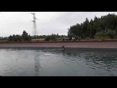 (VIDEO) Heroica reacción: sargento segundo de carabineros rescata a funcionaria de la institución policial al caer su vehículo a canal de devolución “Inela” en la comuna de Yerbas Buenas