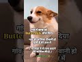 Follow Kar Lo Bhai Trending Funny Shorts Youtubeshorts Like Shortvideo Viralvideo