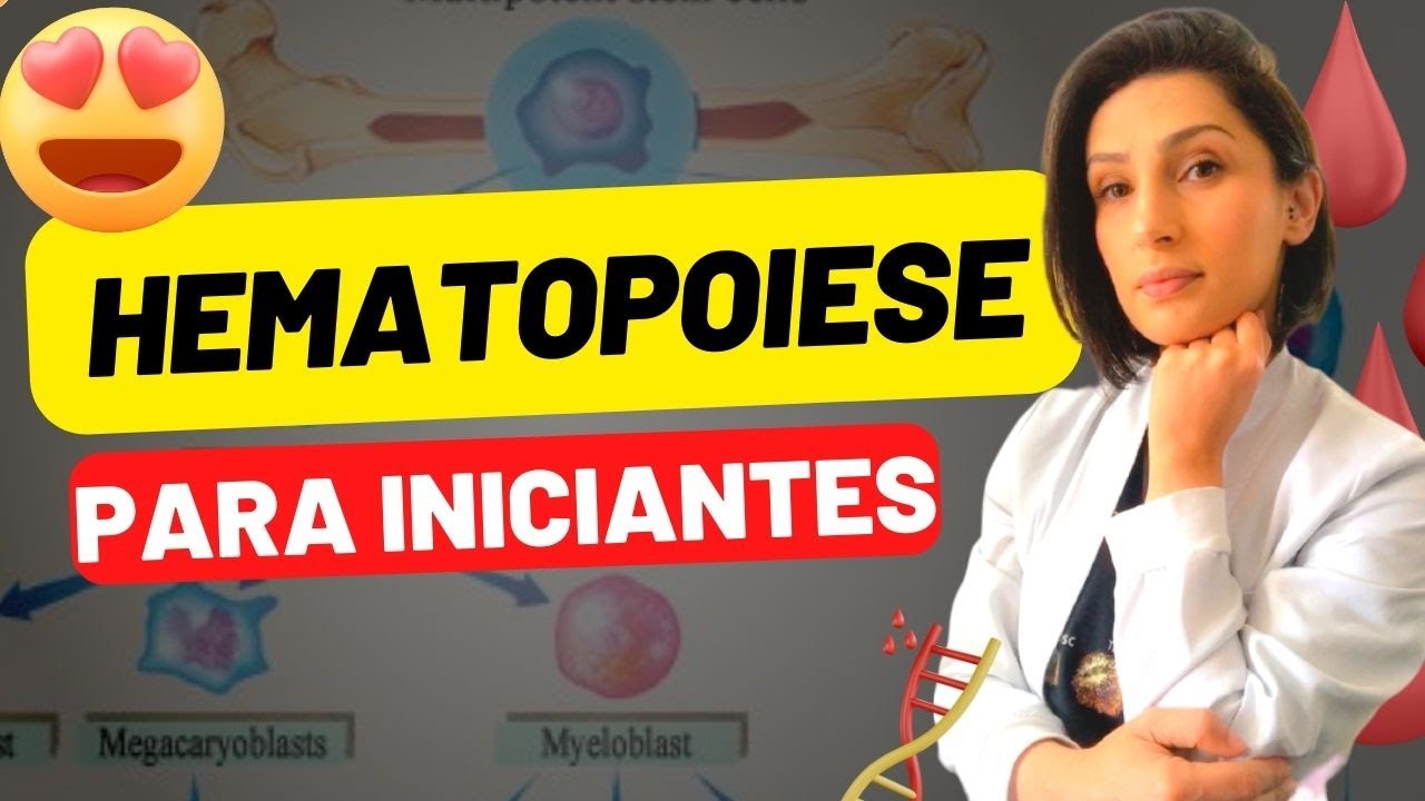 Hematopoiese de Forma Fácil - Hematologia básica #biologia #biomedicina #farmacia #medicina