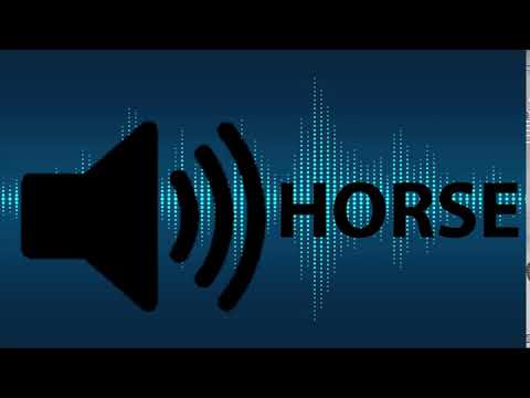 Horse Sound Effect