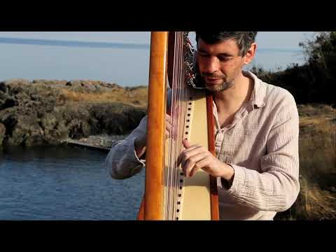 "Forgotten Summer" for harp by Josh Layne