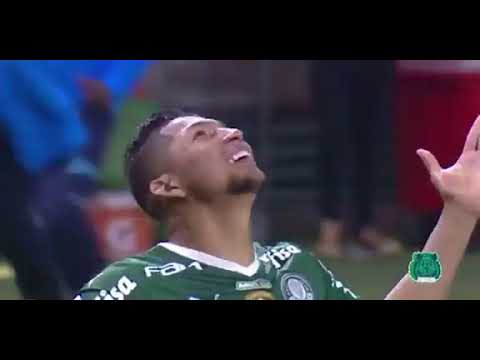 EMOCIONANTE! MELHORES NARRAÇÕES DO GOL DE MURILO PELO PALMEIRAS NA LIBERTADORES CONTRA O GALO ⚽🐷