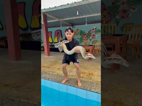 Kolam renang nya kemasukan ular #shorts #minivlog #bocilwargads #maspreman