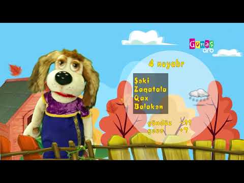 "Hava necə olacaq?" - 4 noyabr 2024-cü il