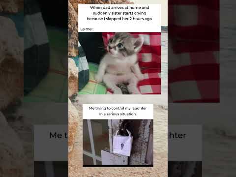 Memes #relatable #fun#meme # memes #tejas #op#shorts