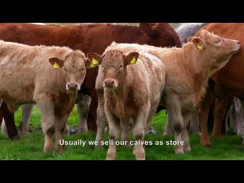 Shetland Monitor Farmers Look Forward to 2018