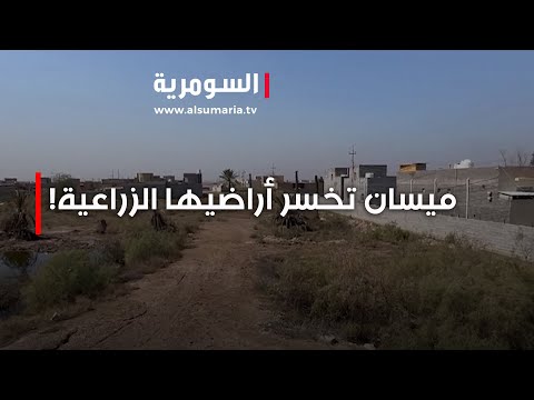 فيديو | ميسان تخسر أراضيها الزراعية!‎