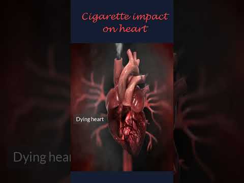 Cigarette Impact on Heart #shorts