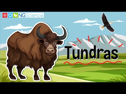 Tundras