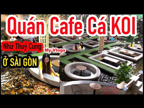 koi melody coffee - cafe cá koi lê trọng tấn / Quán cà phê cá koi cực đẹp như thuỷ cung ở sài Gòn