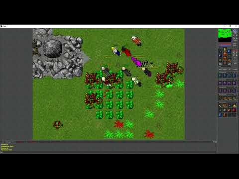 Old Tibia - High lvl Paladin blocking the Old Widow (2005 7.6)