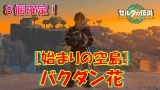 【ゼルダの伝説ティアキン】始まりの空島で「バクダン花8個」を手に入れる方法
