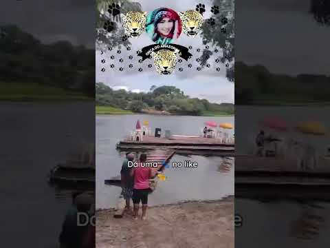 Lago de Serpa Itacoatiara Amazonas 🐾🐆