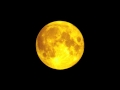 -the moon was yellow-