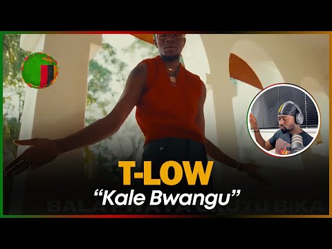 🚨🇿🇲 | T-Low & G-Five ft Chef 187 - Kale Bwangu | Reaction