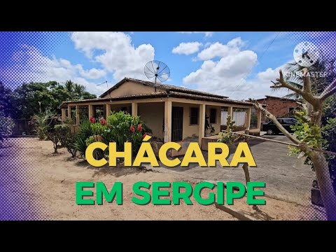 Chácara top em salgado são 3 tarefas muitas árvores frutíferas 79 9 99979391 
