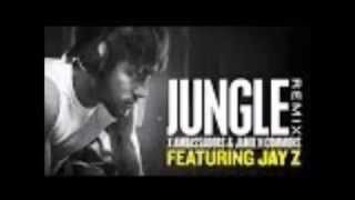 Jungle Remix X Ambassadors &amp; Jamie N Commons (feat. Jay Z)