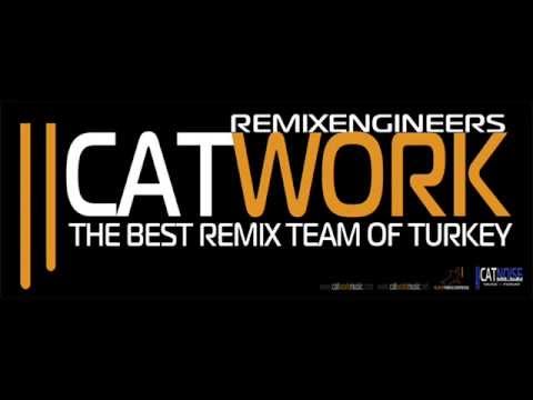 Catwork Remix Engineers   2012 Intro