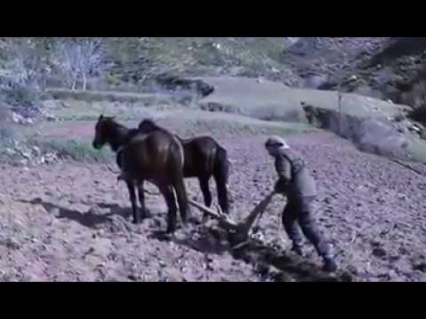 صور من بلدية جيملة ولاية جيجل