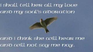 Irish Tradition : &quot;The Lark In The Clear Air&quot;