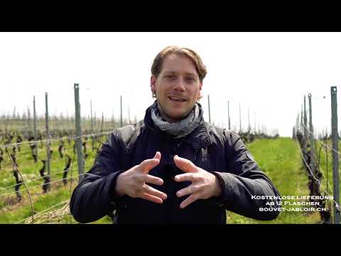 Entdecken Sie den Rebschnitt in ein Paar Minuten! Domaine Bouvet-Jabloir, Weingut Bouvet-Jabloir.